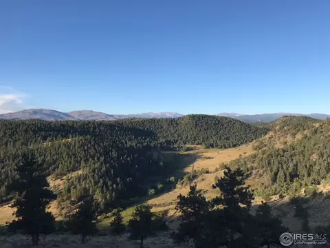 635 Mount Massive Dr, Livermore, CO 80536 photo 38