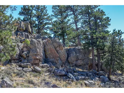635 Mount Massive Dr, Livermore, CO 80536 photo 33