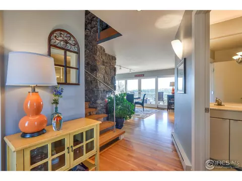 635 Mount Massive Dr, Livermore, CO 80536 photo 8