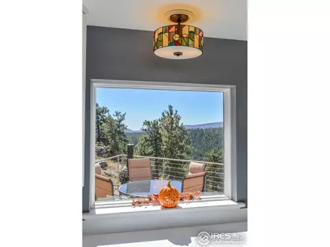 635 Mount Massive Dr, Livermore, CO 80536 photo 13