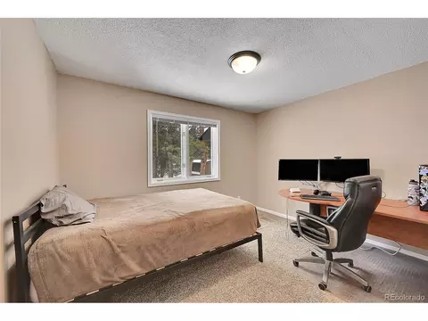 11804 S Stallion Dr, Pine, CO 80470 photo 14