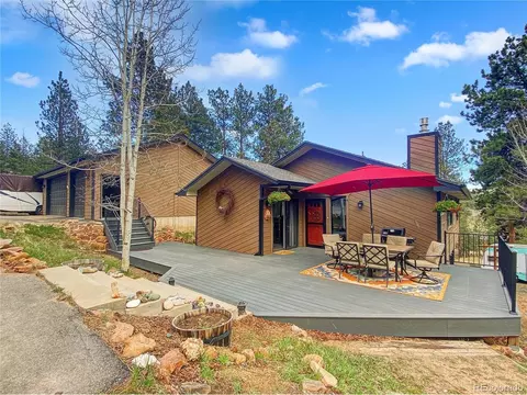 11804 S Stallion Dr, Pine, CO 80470