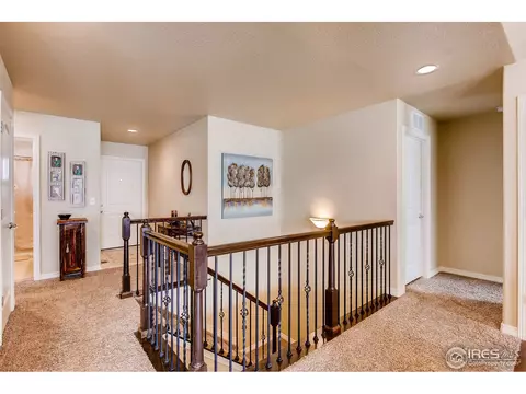 5596 Osbourne Dr, Windsor, CO 80550 photo 5