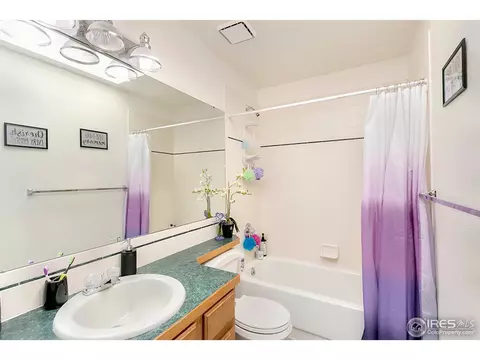 907 Pine Dr, Windsor, CO 80550 photo 16