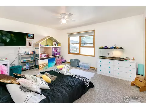 907 Pine Dr, Windsor, CO 80550 photo 17