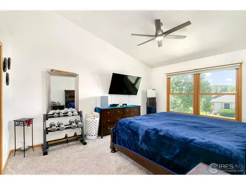907 Pine Dr, Windsor, CO 80550 photo 14