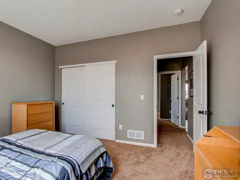 512 Park Edge Cir, Windsor, CO 80550 photo 14