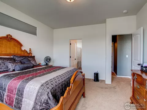 512 Park Edge Cir, Windsor, CO 80550 photo 18