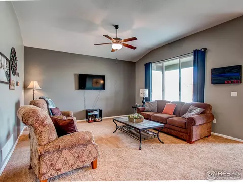 512 Park Edge Cir, Windsor, CO 80550 photo 10
