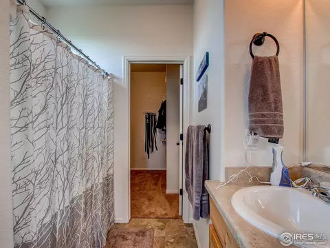 512 Park Edge Cir, Windsor, CO 80550 photo 20