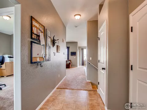 512 Park Edge Cir, Windsor, CO 80550 photo 3