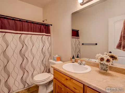 512 Park Edge Cir, Windsor, CO 80550 photo 16