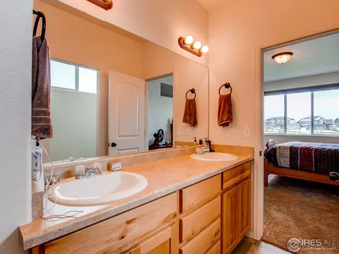 512 Park Edge Cir, Windsor, CO 80550 photo 19