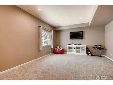3554 E 140th Pl, Thornton, CO 80602 photo 25
