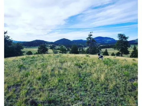 568 Coyote Dr, Guffey, CO 80820