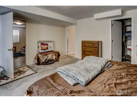 307 E Chestnut St, Windsor, CO 80550 photo 31