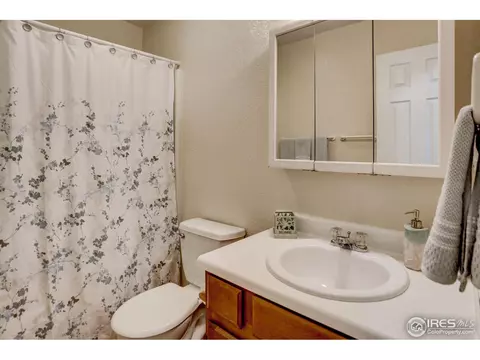 307 E Chestnut St, Windsor, CO 80550 photo 21