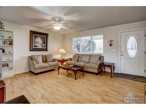 307 E Chestnut St, Windsor, CO 80550 photo 10