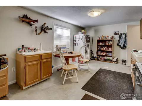 307 E Chestnut St, Windsor, CO 80550 photo 25
