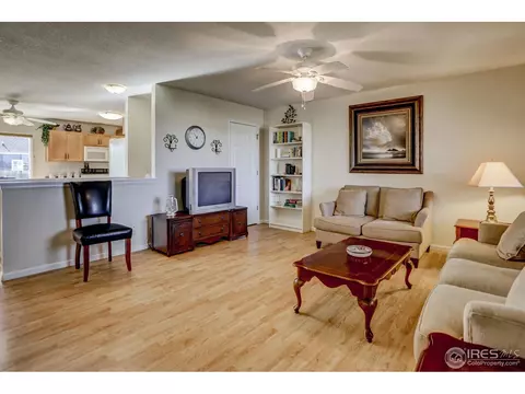 307 E Chestnut St, Windsor, CO 80550 photo 9