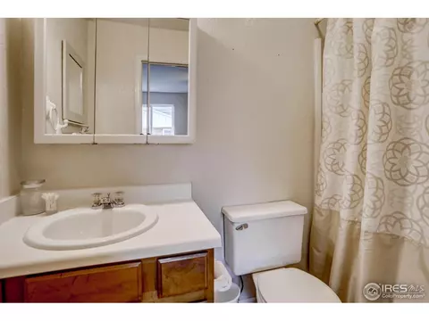 307 E Chestnut St, Windsor, CO 80550 photo 18