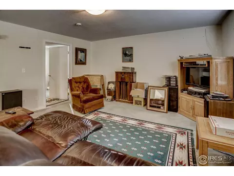307 E Chestnut St, Windsor, CO 80550 photo 28