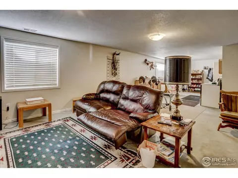 307 E Chestnut St, Windsor, CO 80550 photo 29