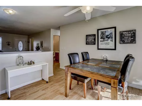 307 E Chestnut St, Windsor, CO 80550 photo 8