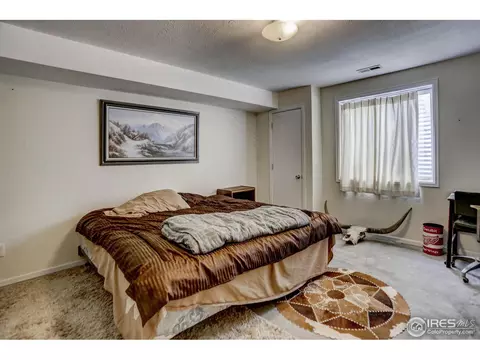 307 E Chestnut St, Windsor, CO 80550 photo 30