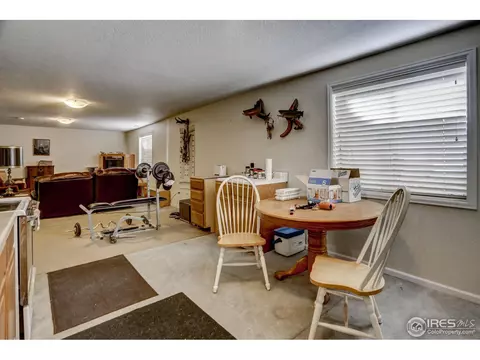 307 E Chestnut St, Windsor, CO 80550 photo 24