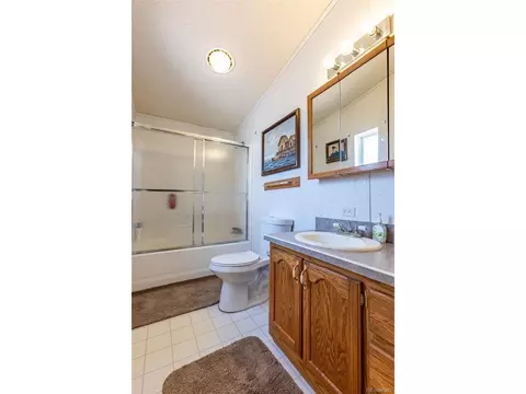 246 Loop Dr, Howard, CO 81233 photo 36