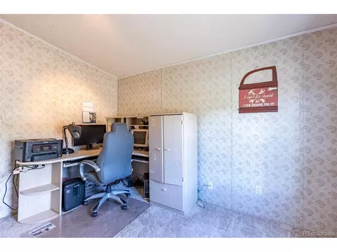 246 Loop Dr, Howard, CO 81233 photo 43