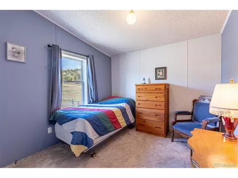 246 Loop Dr, Howard, CO 81233 photo 38