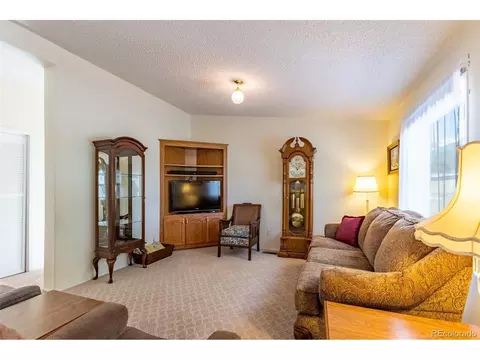 246 Loop Dr, Howard, CO 81233 photo 26