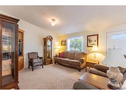 246 Loop Dr, Howard, CO 81233 photo 24