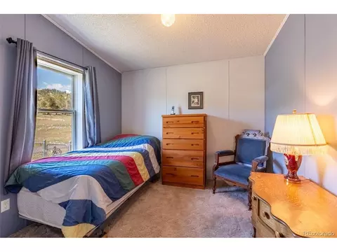 246 Loop Dr, Howard, CO 81233 photo 39