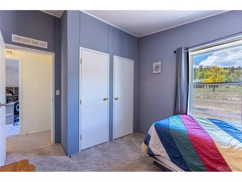 246 Loop Dr, Howard, CO 81233 photo 40