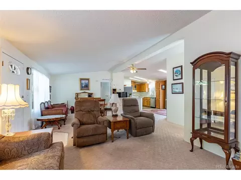 246 Loop Dr, Howard, CO 81233 photo 23