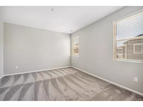 1047 Urial Dr, Severance, CO 80550 photo 14