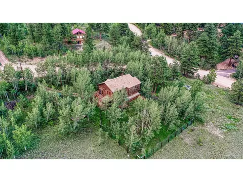 17 Mesa Ct, Bailey, CO 80421 photo 29