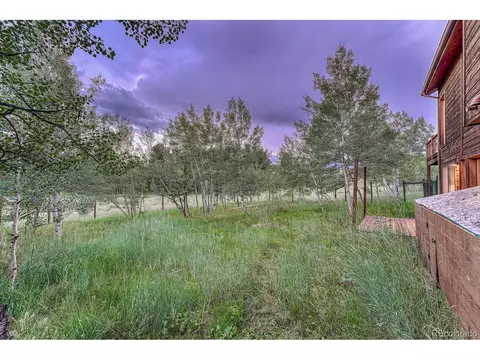 17 Mesa Ct, Bailey, CO 80421 photo 35