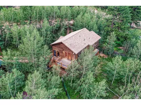 17 Mesa Ct, Bailey, CO 80421 photo 2