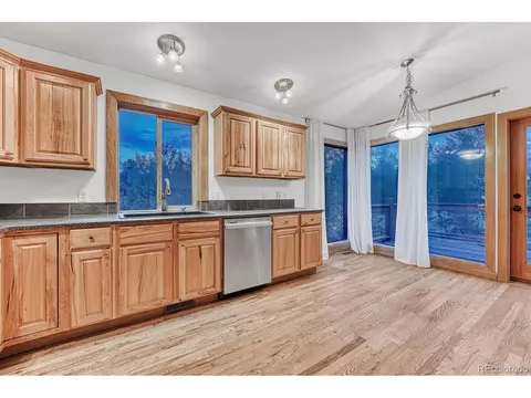 17 Mesa Ct, Bailey, CO 80421 photo 11