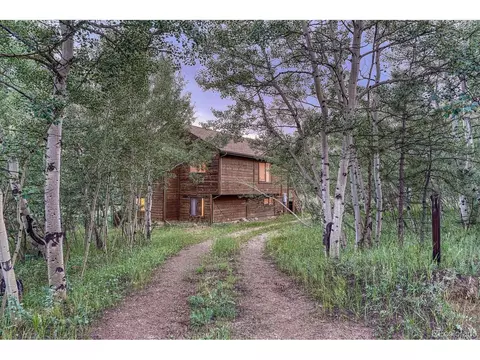 17 Mesa Ct, Bailey, CO 80421 photo 37