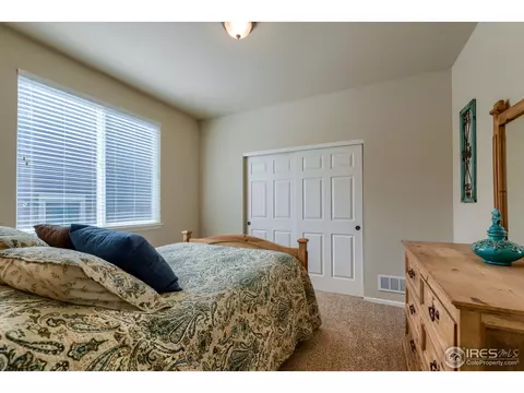552 Wycombe Ct, Windsor, CO 80550 photo 22