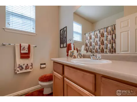 552 Wycombe Ct, Windsor, CO 80550 photo 24