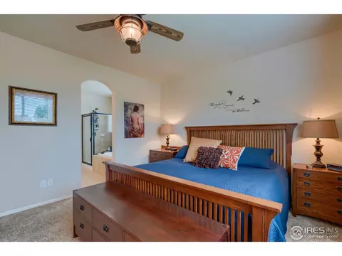 552 Wycombe Ct, Windsor, CO 80550 photo 18