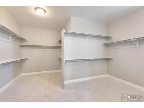 6072 Summerfields Pkwy, Timnath, CO 80547 photo 24
