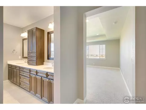 6072 Summerfields Pkwy, Timnath, CO 80547 photo 21