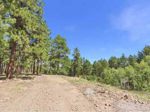 N Turkey Creek Rd, Morrison, CO 80465 photo 5